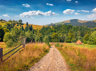 Impressive morning view of Zamagora mountain village with old country road. Wonderful summer scene of Carpathian farmland, Ukraine, Europe. Beauty of countryside concept background.