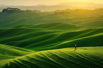 Fotobehang Tuscany landscape at sunrise, Val d'Orcia, Italy © Quan