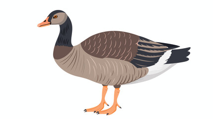 Cartoon cute goose on white background flat vector isolated