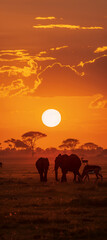 Fototapeta na wymiar African wildlife during a breathtaking sunset