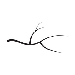 Fototapeta premium Tree Branches