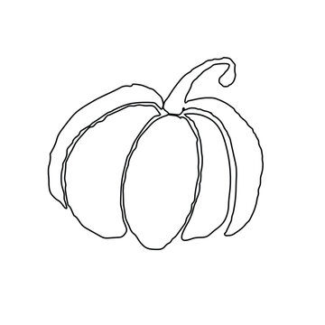 doodle freehand sketch drawing of pimpkin vegetable.