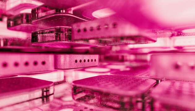 Autonomous microchip intelligence with illuminated pink light