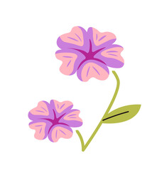Purple Blooms Vector Illustration on white