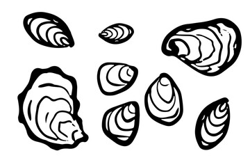 Oyster vector illustrations on a white background. Beach and summer elements. 