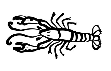 Hand-drawn illustration of lobster. Black and white seafood motif. Design for culinary branding, maritime-themed artwork. 