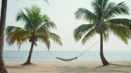 Beachside Hammock Minimalist composition featuring a hammock strung between two palm trees on a sandy beach providing a tranquil backdrop for adding   AI generated illustration