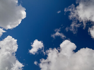 Obraz premium White cumulus clouds in the deep blue summer sky. Fluffy clouds background