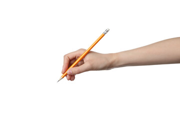 PNG,a female hand holds a pencil, isolated on white background