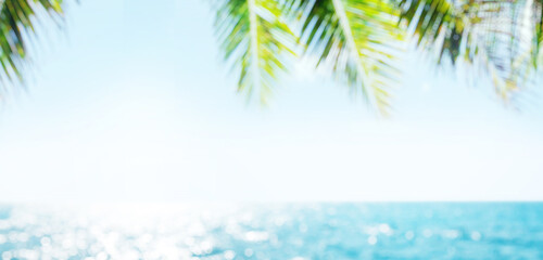 Fototapeta na wymiar Blurred sunny sea landscape with sun, sea, palm leaves