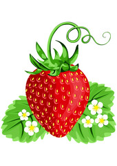 Delicious fresh red strawberry with leaves