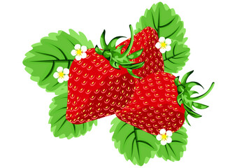 Delicious fresh strawberries with leaves