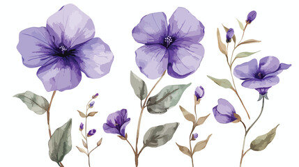 New Watercolor purple flowers flat vector isolated on