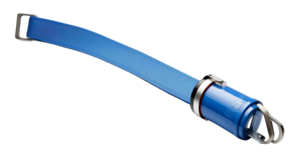 A metallic buckle shines on a vibrant blue belt