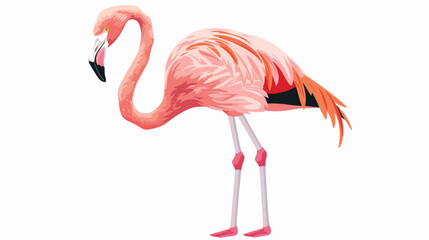 Pink flamingo vector  flat vector isolated on white background