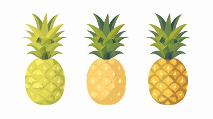 Pineapple fruit vector illustration