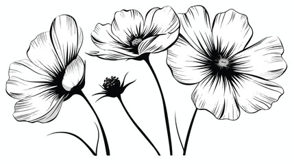 Drawing black and white flower Flat vector isolated o