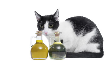 Kot siedzi przy szklanych buteleczkach z olejem - obrazy, fototapety, plakaty