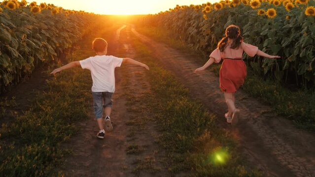Boy and girl kids running on road at sunflower field flying plane imagine sunset light back view. Children family sister and brother playing fantasy imagination aircraft flight enjoy happy childhood