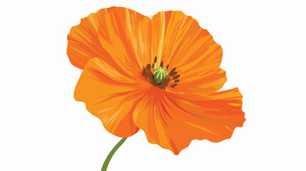 Single beautiful orange vector flower Flat vector