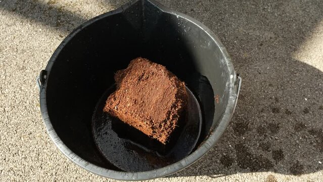 Timelapse of the rehydration of a block of coco peat in a plastic bucket.