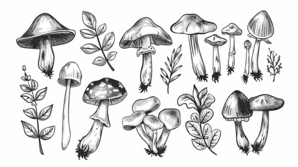 Vector hand drawn black and white wild forest mushroom - obrazy, fototapety, plakaty