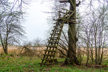 Ambona myśliwska stanowisko do polowania na dziką zwierzynę © KoLesfot