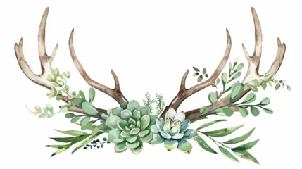 Foto op Plexiglas anti-reflex Aquarel doodshoofd Watercolor antler with succulent leaves and branch
