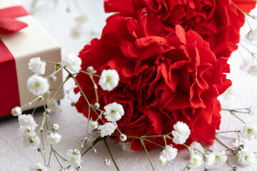 母の日　カーネーションとプレゼント