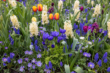 The abundance of colors and scents of various species of flowers blooming in the spring garden