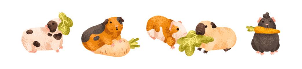 Funny guinea pig characters eating food set. Cute fluffy cavies, baby rodents. Adorable kawaii comic pets with vegetables, leaf, feeding. Kids flat vector illustration isolated on white background