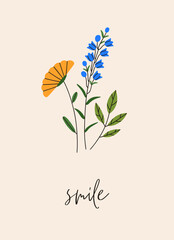 Floral card design. Beautiful summer flowers, delicate wildflowers, simple blooming sprigs. Botanical nature background, minimal postcard, field meadow herbs. Flat graphic vector illustration