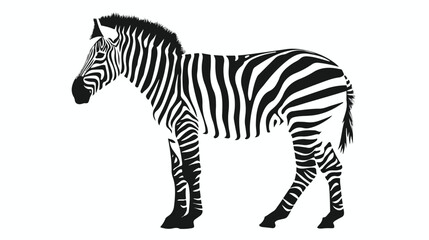 Fototapeta na wymiar Zebra silhouette Animal om white background Flat vector