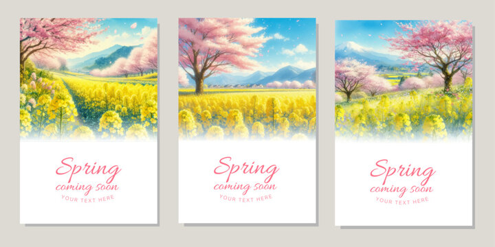 Watercolor illustration background of cherry blossoms in full bloom and yellow rapeseed flowers
