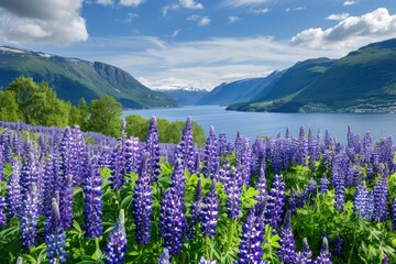 Countryside in Springtime with Lupines: Idyllic Landscape 