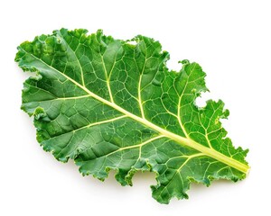 Top View of Fresh Organic Kale Leaf Isolated on White Background, Healthy Green Vegetable