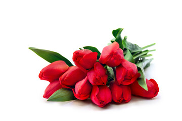 Bouquet red tulips flowers with space for text on a white background