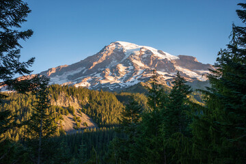 View of Forest and Snow Capped Mountain at Mount Rainier National Park in Washington State