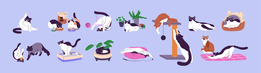 Cute cats set. Happy kittens play with toys, ball of yarn. Funny kitty sleeps in houseplant. Adorable fluffy pets eating, washing, relax, stretching, scratching. Flat isolated vector illustrations