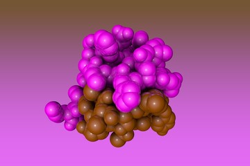 Human insulin. Space-filling molecular model. 3d illustration