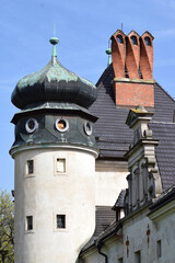 Kręcone kominy na zamku w Dąbrowie - obrazy, fototapety, plakaty