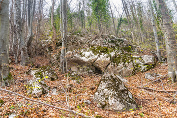 Details of the nature and natural state of the Rtanj mountain in eastern Serbia. Rtanj mountain,...