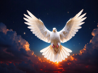 Fototapeta premium A white pigeon landing