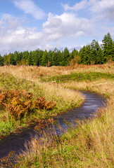 The Paved Trail Through Mima Mounds Natural Area Preserve, Nature preserve in Washington State