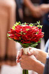 bridal bouquet of red roses and chili peppers held in hands