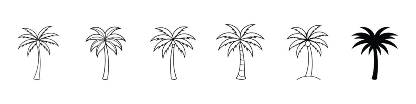  Palm Tree Silhouette, Silhuette Plam Tree, vector Plam tree design, plam tree silhouette, Plam Tree Vector Icon, tropical plam trees icon