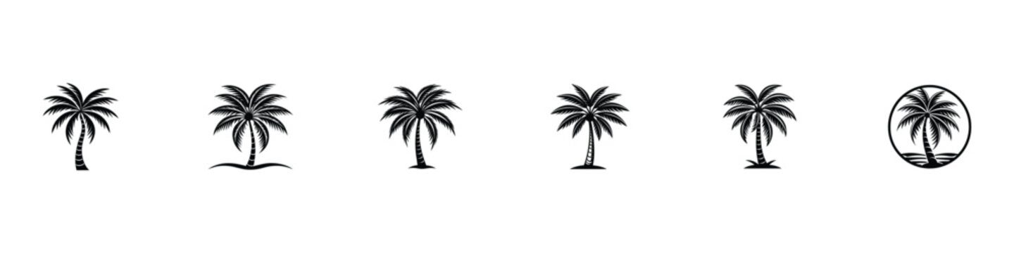  Palm Tree Silhouette, Silhuette Plam Tree, vector Plam tree design, plam tree silhouette, Plam Tree Vector Icon, tropical plam trees icon