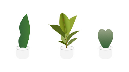 plant in a pot, plant tree vector, Collection of various green tree vector, Tree Transparent PNG, Set of trendy potted plants for home