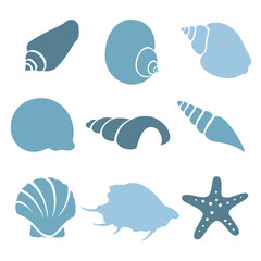 Set of various blue sea shells and starfish - 773858917