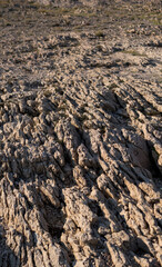 Limestone pavemant on the island of Pag